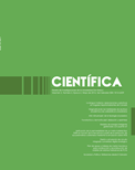 Collection Logo